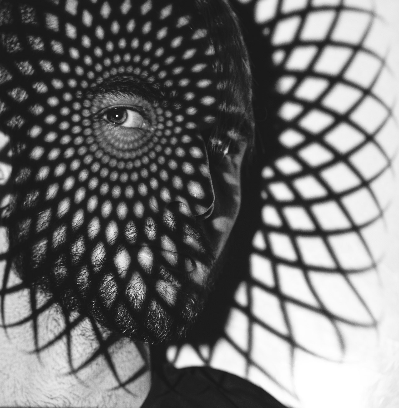 Shadows. The-yan.com