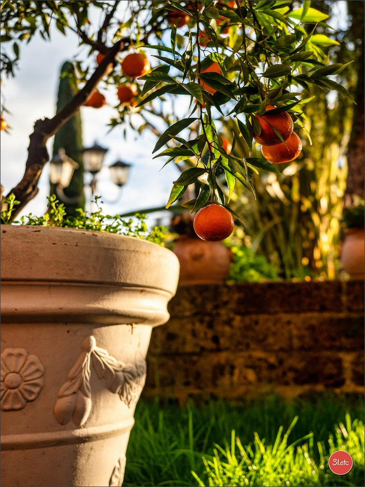 San Marino - Catolica 🇮🇹. Photographe à Strasbourg | Portraits, Studio, Enfants, Événements