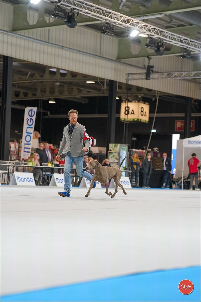 🇱🇺 LUXEMBOURG 🇱🇺 International Dog Show 4-5/04/2026. Photographe à Strasbourg | Portraits, Studio, Enfants, Événements