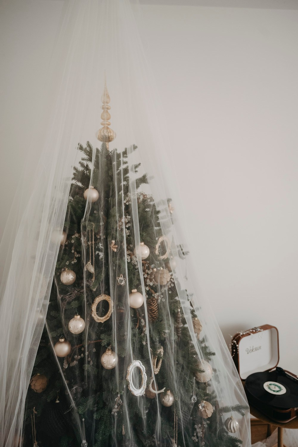 NOVOGODISNJE FOTOGRAFISANJE. Deciji i porodicni fotograf u Beogradu Oksana Skendzic