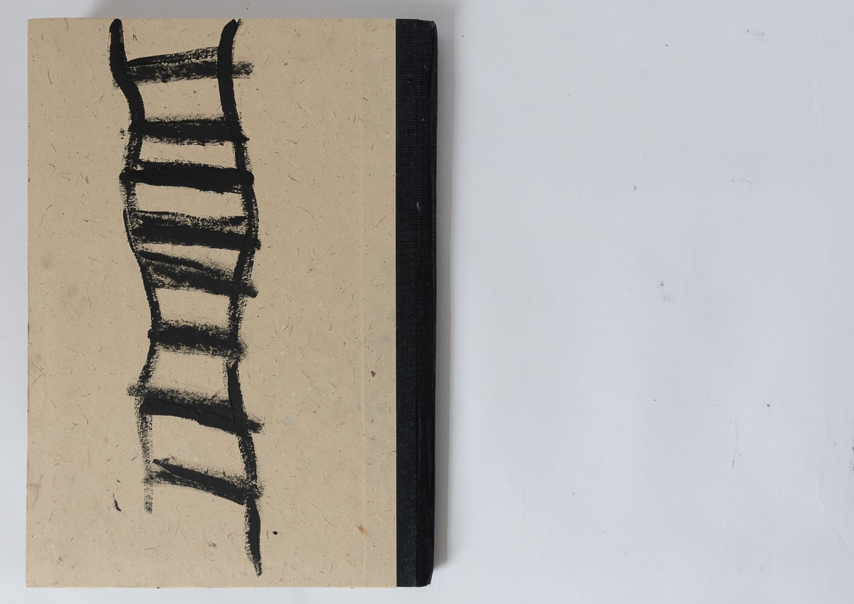 Rebelion, 2018. Haim Sokol’s artists website