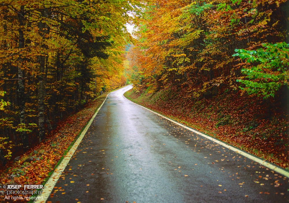 Road at fall, Pyrenees, Navarra
