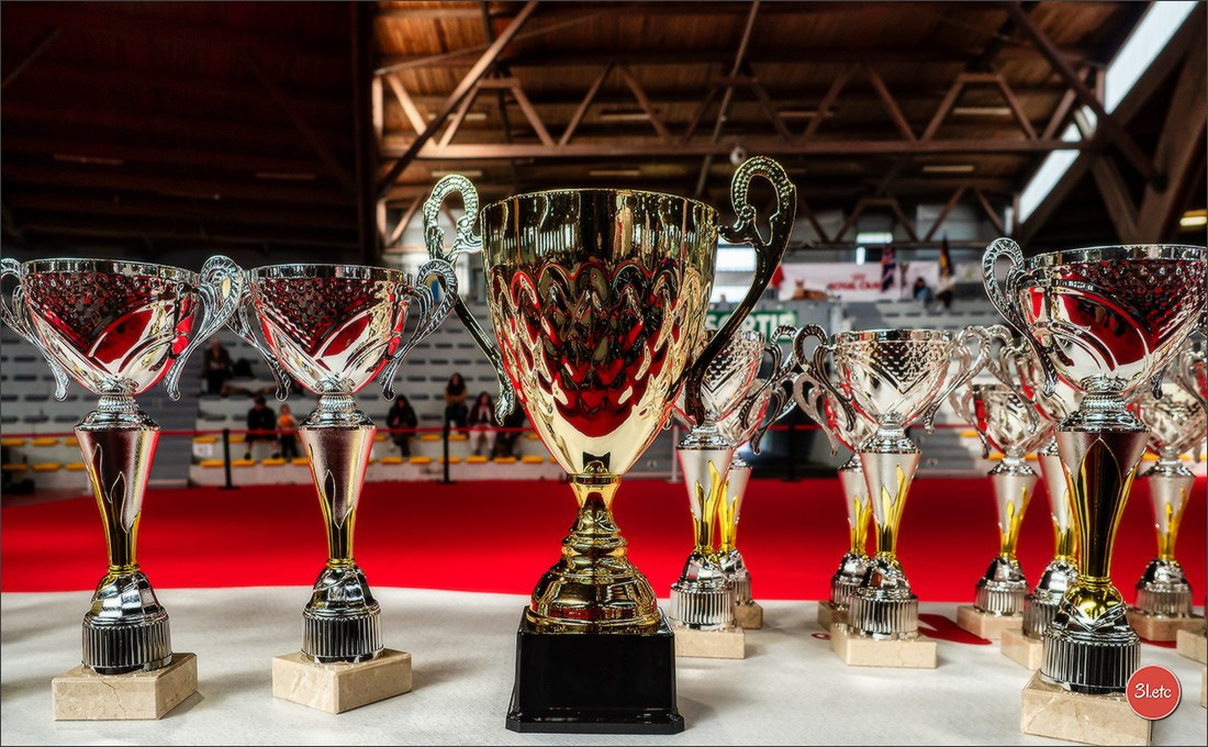 Expo canine 🇫🇷 Poitiers 18-19/10/2025. Photographe à Strasbourg | Portraits, Studio, Enfants, Événements