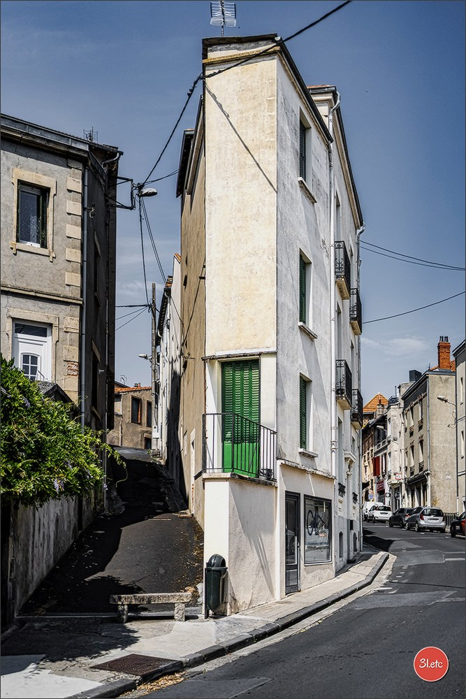 Riom (63200)  🇫🇷  2026. Photographe à Strasbourg | Les animaux, Portraits, Studio, Événements