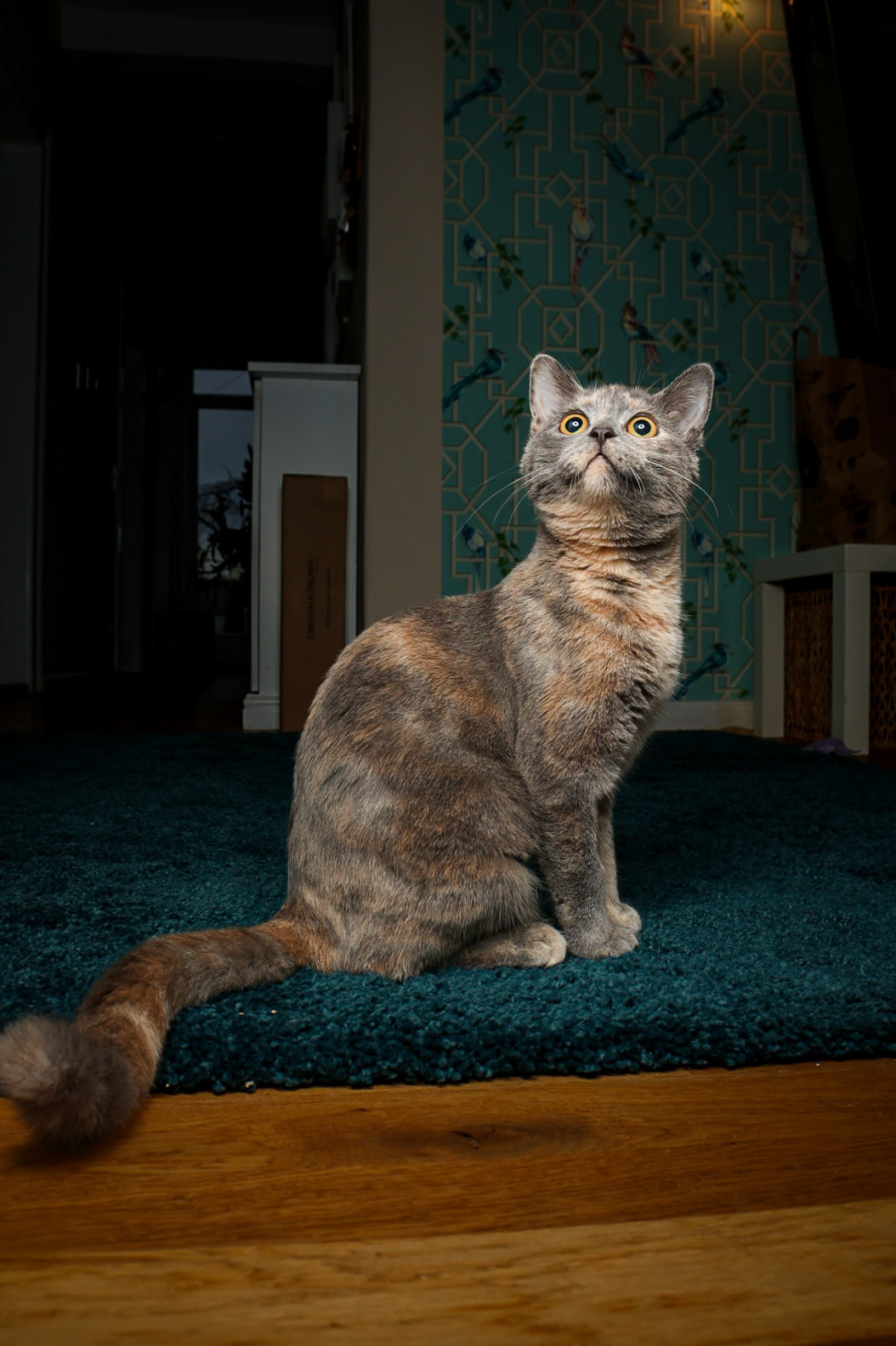 Животные. Марина фотограф из Нюрнберга