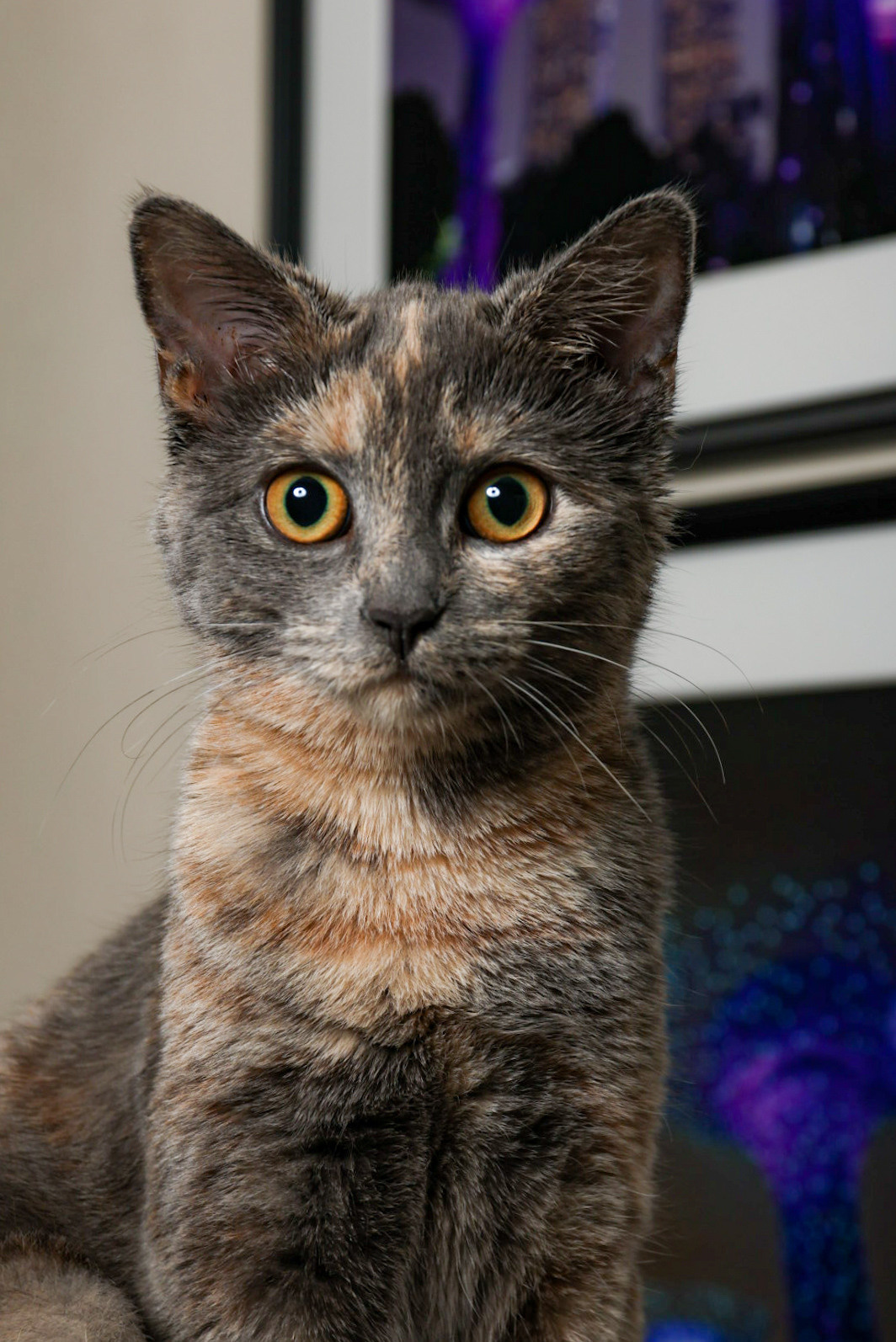 Животные. Марина фотограф из Нюрнберга