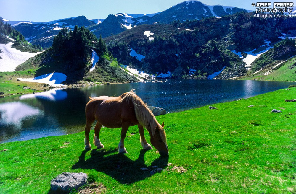 Lacs de Rabassoles, Pyrenees, Ariège