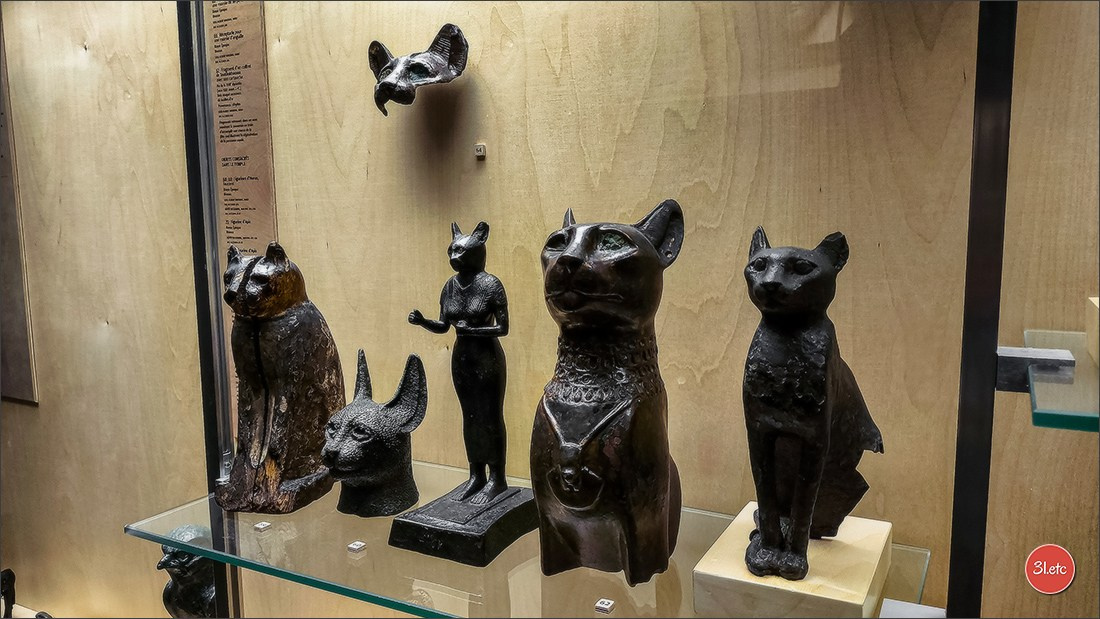 Musée De Picardie #Amiens #MuseeDePicardie #France. Photographe à Strasbourg | Portraits, Studio, Enfants, Événements