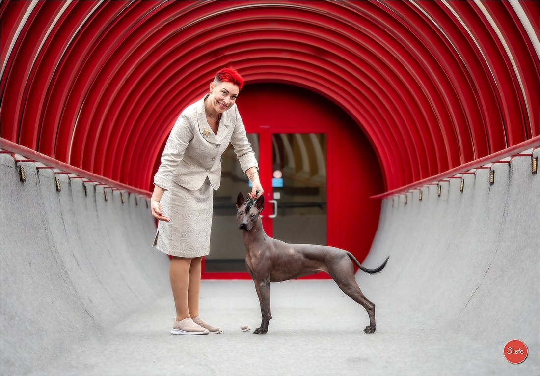 13-14.12.2025   🇧🇪   Brussels Dog Show. Photographe à Strasbourg | Portraits, Studio, Enfants, Événements