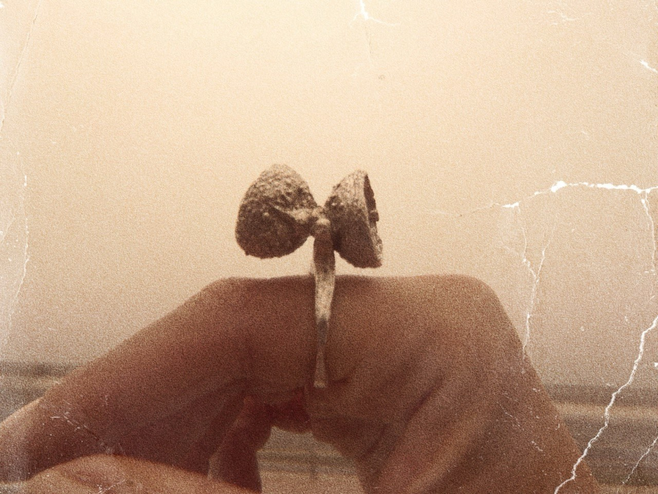 GA·DASHI | MULTIDISCIPLINARY ART