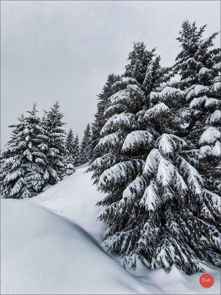 Swiss. Photographe à Strasbourg | Portraits, Studio, Enfants, Événements