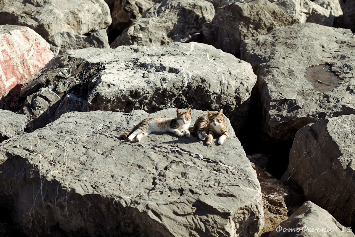 Стамбул, Турция. Анна Леденева Фотограф