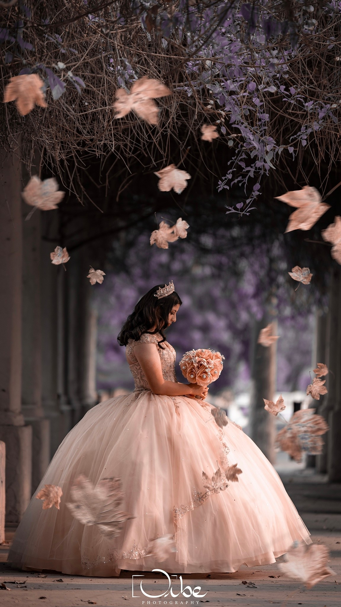 XV Fifteen. Orbephotography.com