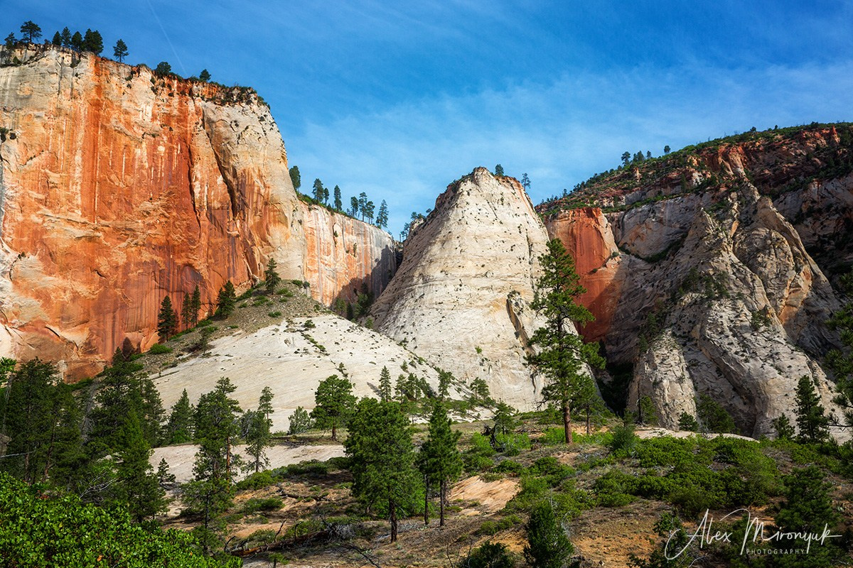 New Year In Utah. Pet, Senior, Landscape, portrait studio, photographer in Miami and Sou