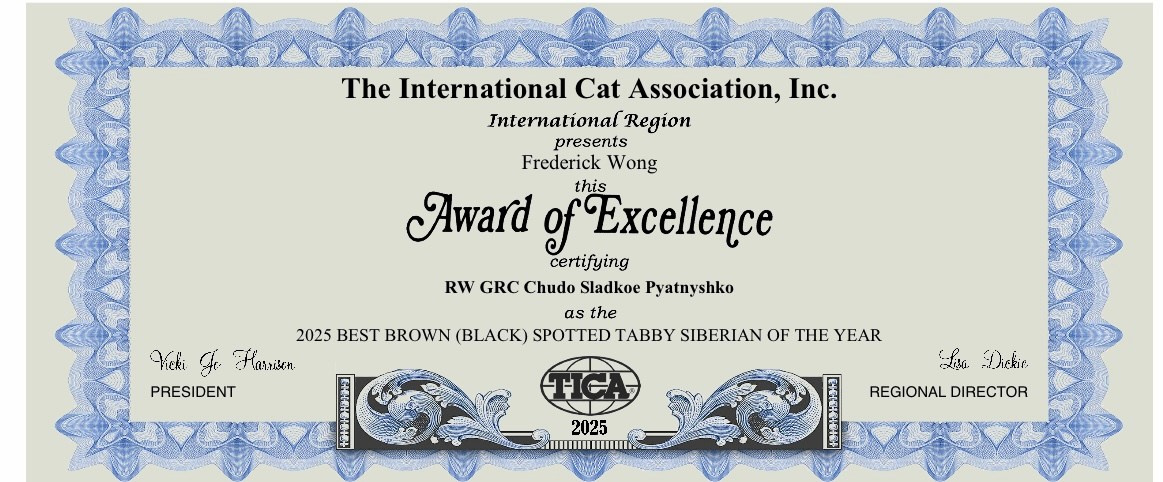 LEMON GREEN SIBERIANS CHUDO