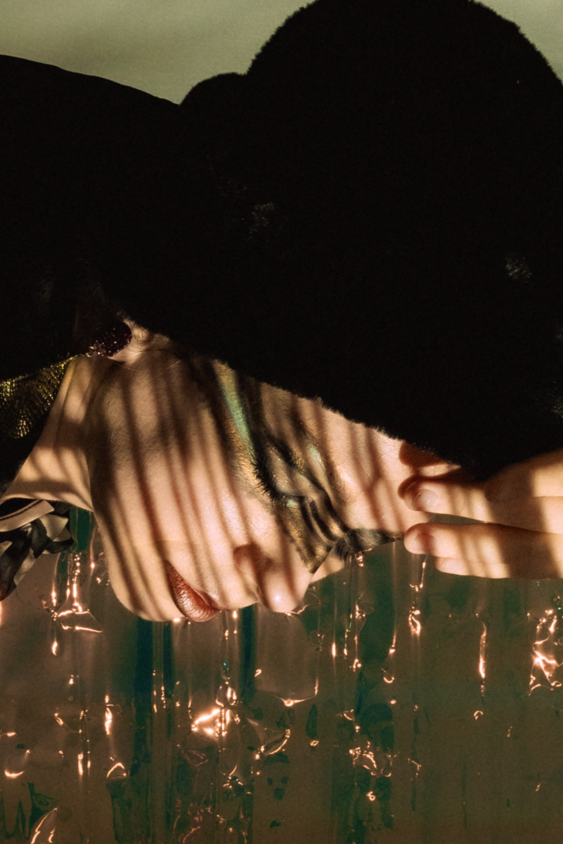 Tiger motion. Ekaterina Tsurkina-Appina Photography Canada