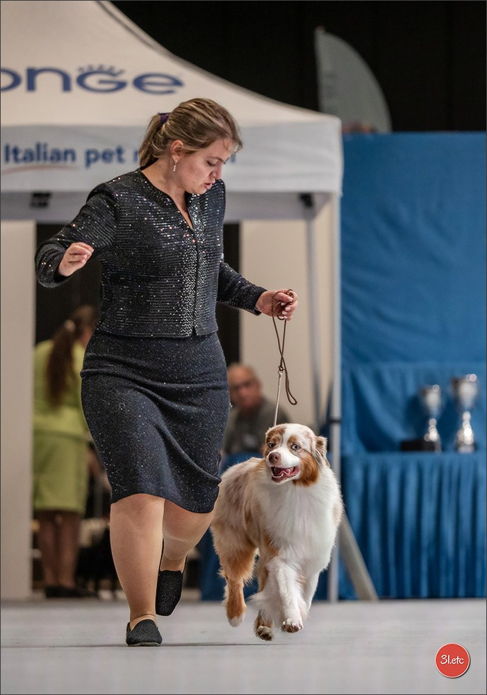 🇱🇺 LUXEMBOURG 🇱🇺 International Dog Show 🇱🇺 30/08 - 31/08/2025. Photographe à Strasbourg | Portraits, Studio, Enfants, Événements