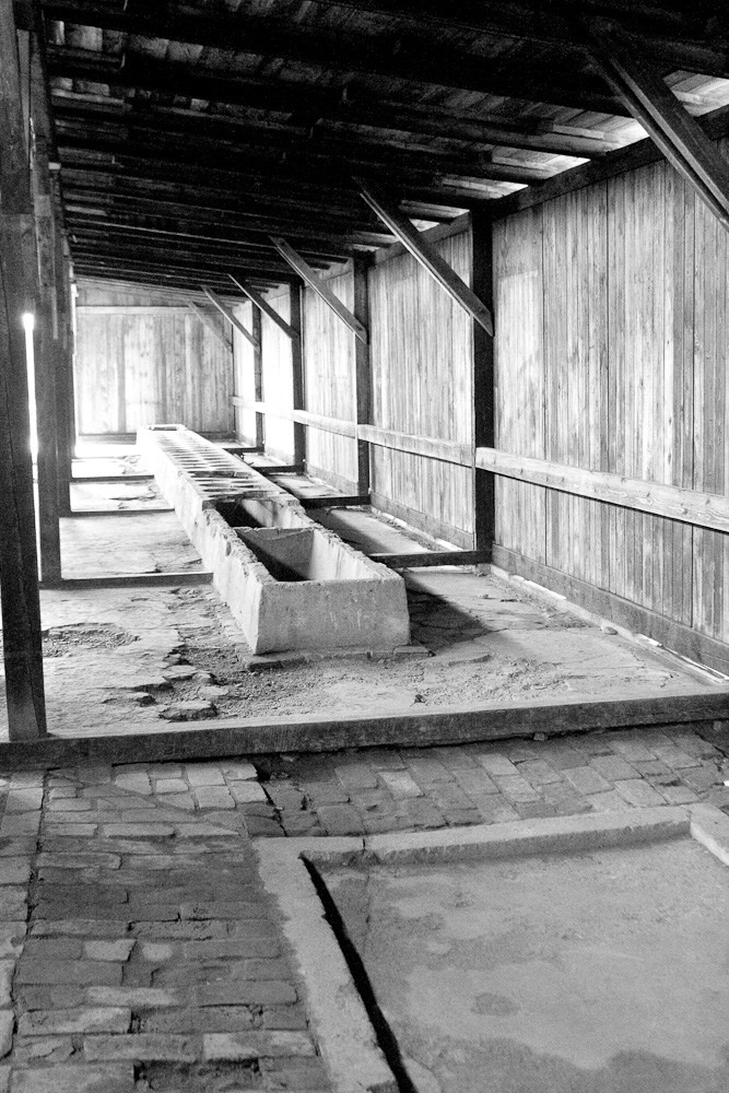 Auschwitz — Birkenau, Polonia. Pagina principală