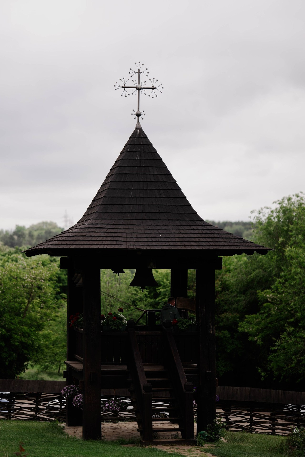 Recenzie. Www.stayscolor.md