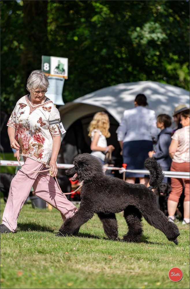 🇫🇷  CHARTRES  🇫🇷  2026  🇫🇷  Exposition Canine Nationale - Château des Boulard
