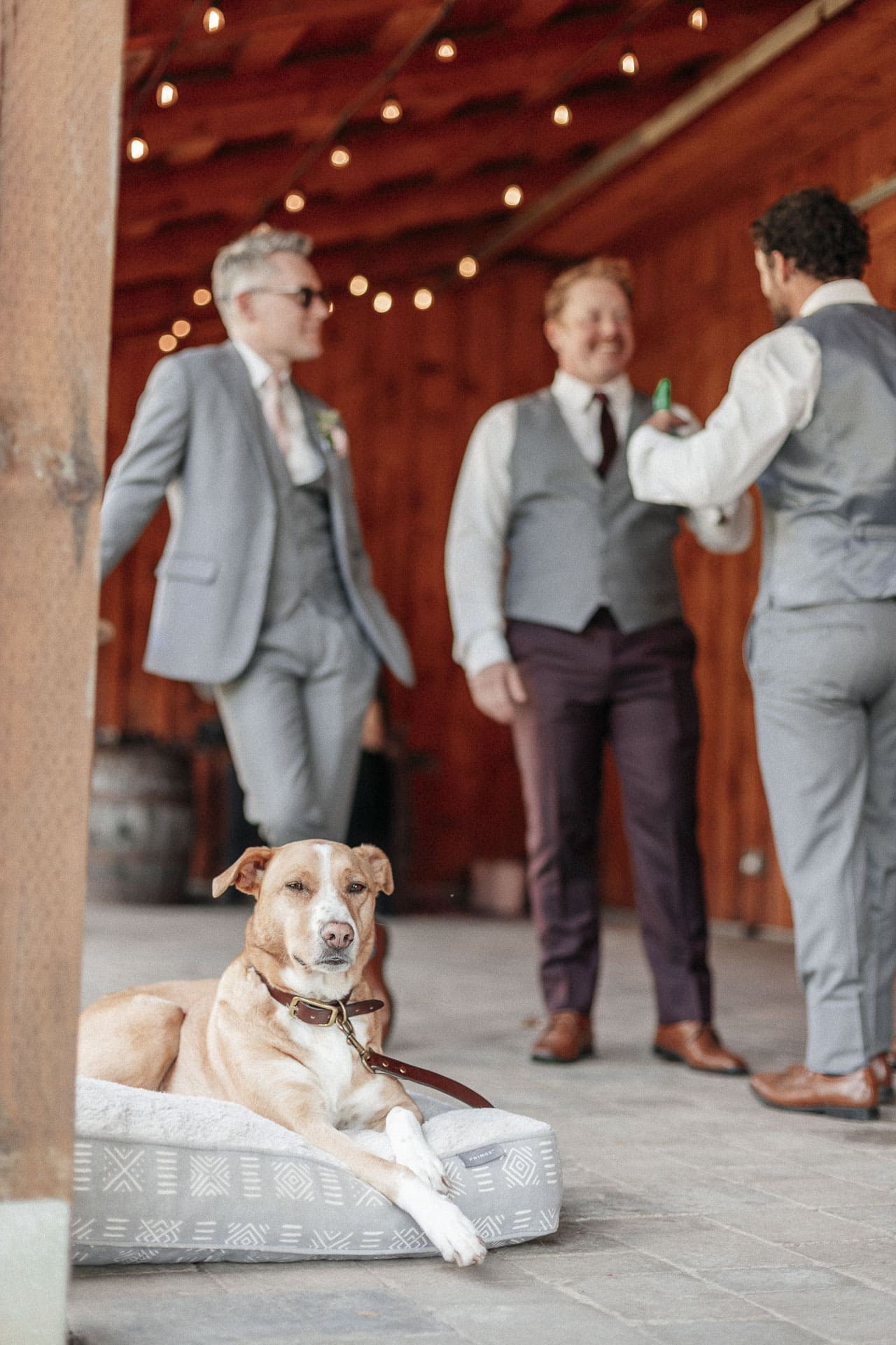 Hannah & Nikita’s Candid Wedding Photos | Documentary-Style Wedding Photography | Toronto, GTA, Vaughan, Mississauga. Storytellers Films — Candid Wedding Videographer & Photographer in Toronto, Ontario and beyond