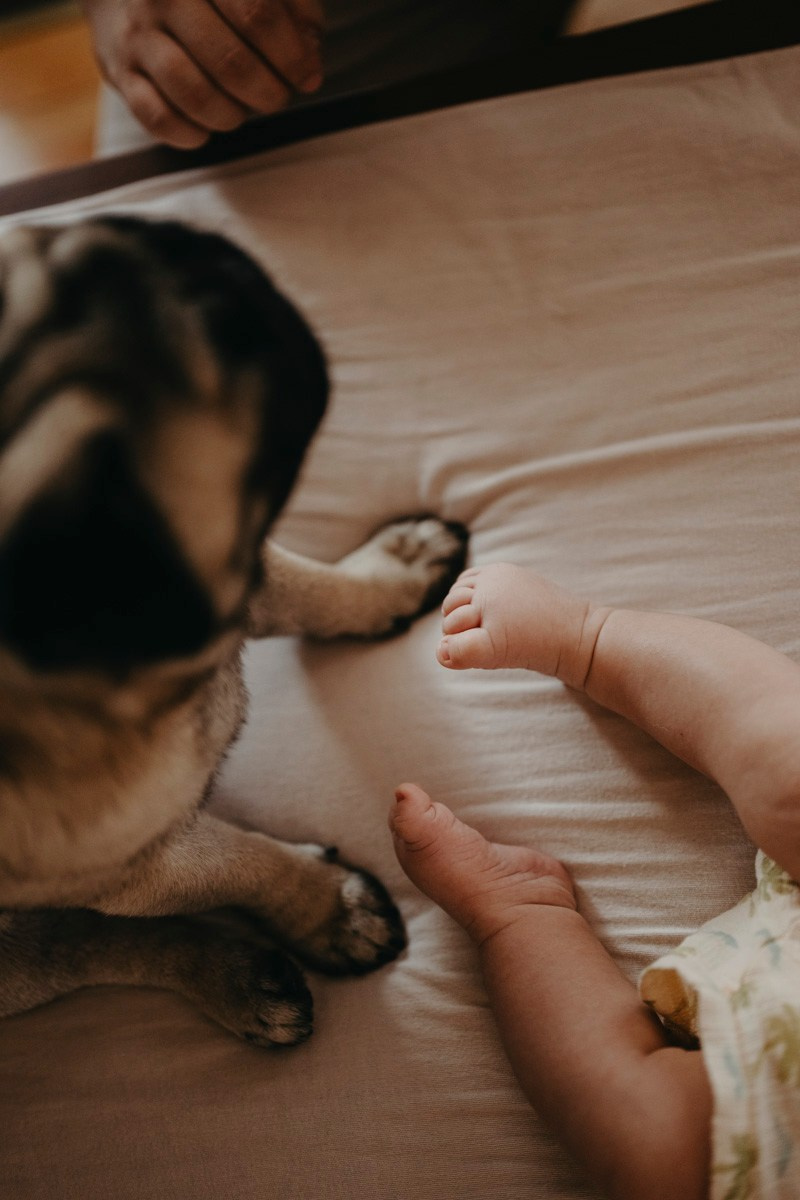 Jelena, Uros i Vasilije / porodicno fotografisanje kod kuce. Deciji i porodicni fotograf u Beogradu Oksana Skendzic