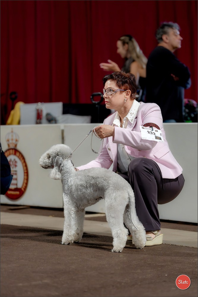 Expo canine 🇲🇨 Monaco 9-10/05/2026. Photographe à Strasbourg | Les animaux, Portraits, Studio, Événements