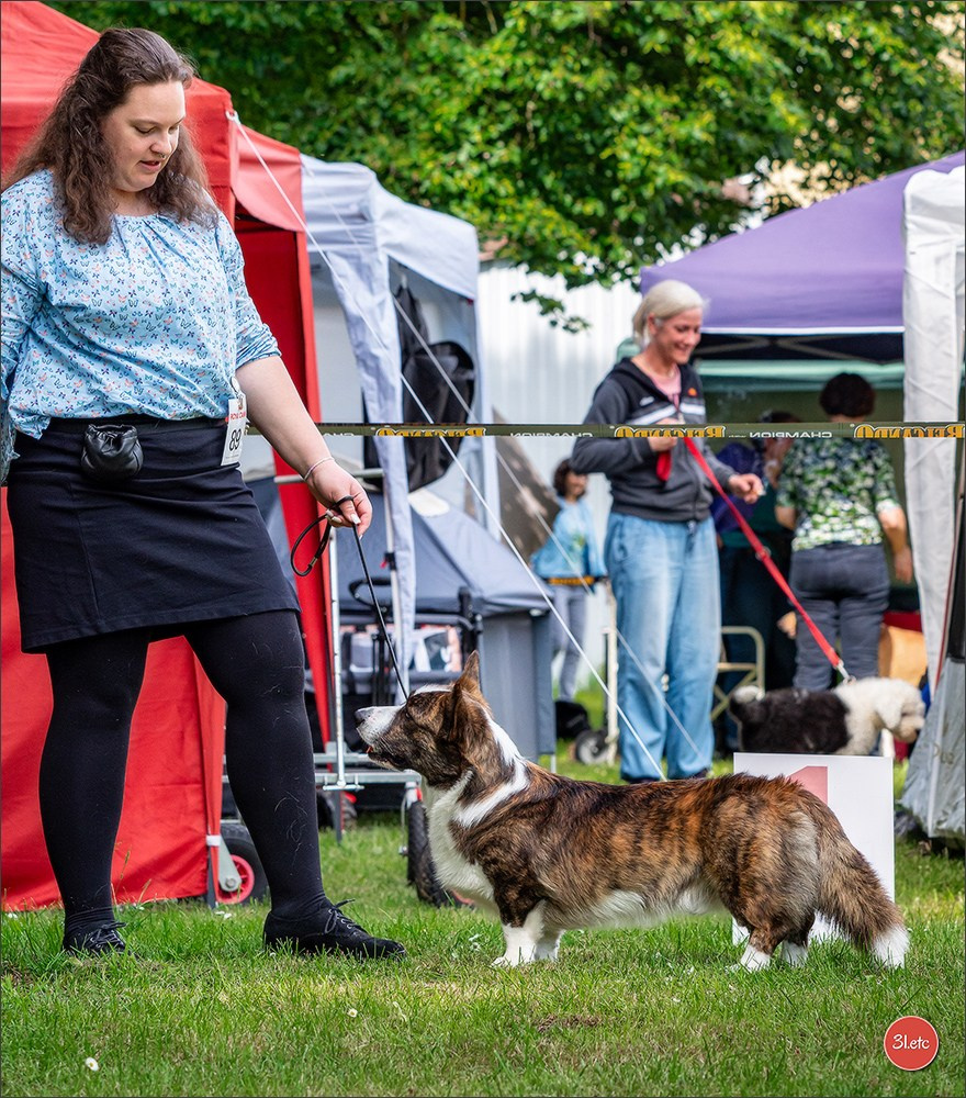 Украсть фото разве сложно.... Photographe à Strasbourg | Portraits, Studio, Enfants, Événements