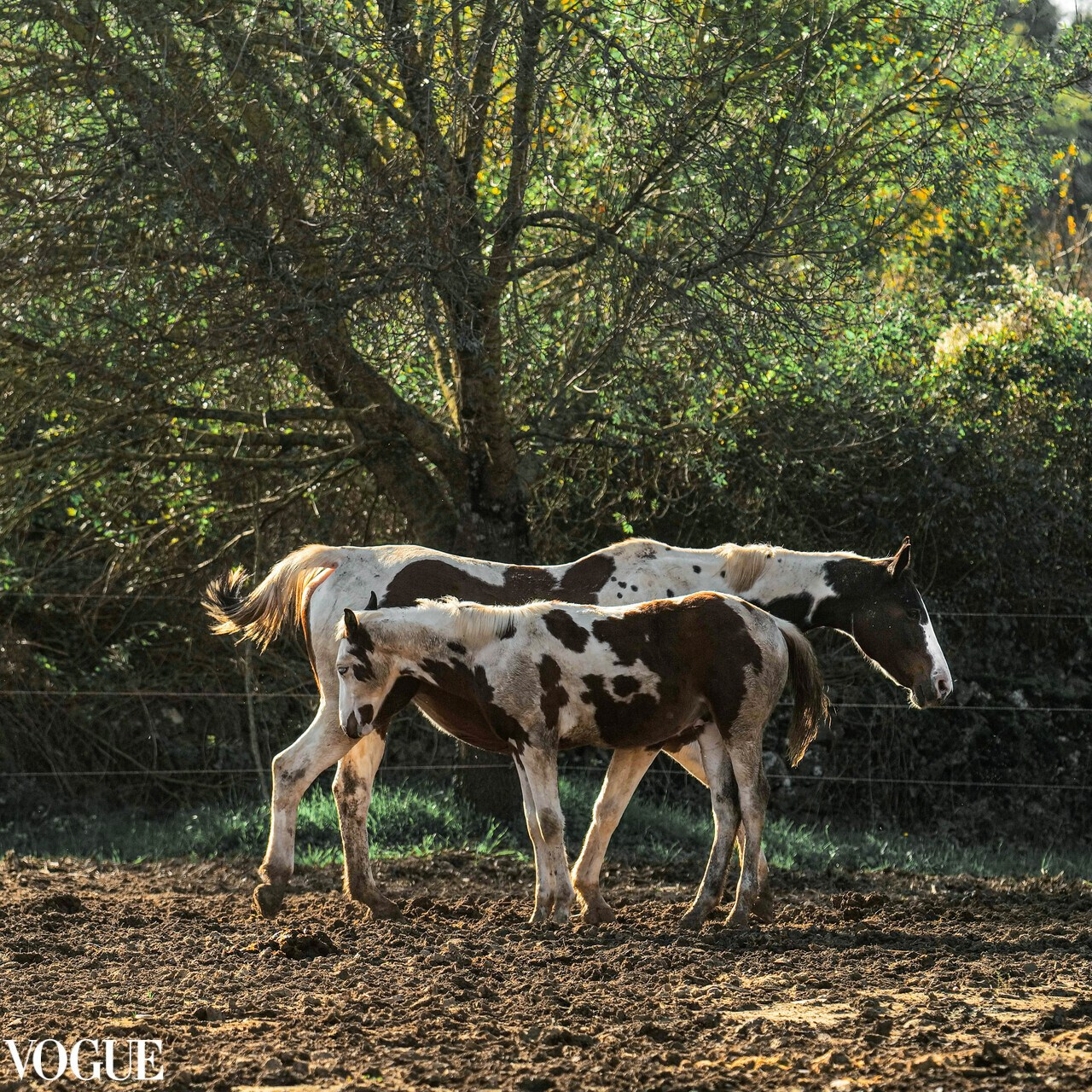 Publications, Awards. Wedding-Family photographer, South of France–Paris, Valentina Acrement
