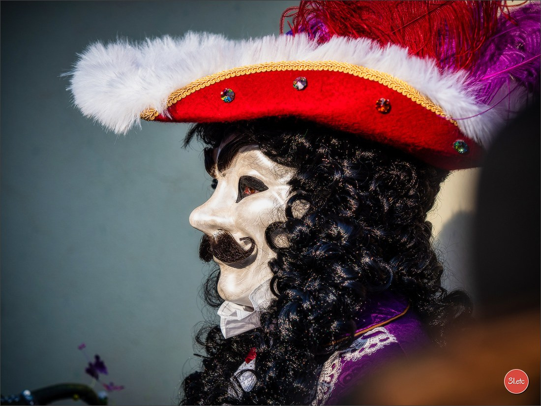 Carnaval vénitien de Rosheim 2026. Photographe à Strasbourg | Portraits, Studio, Enfants, Événements