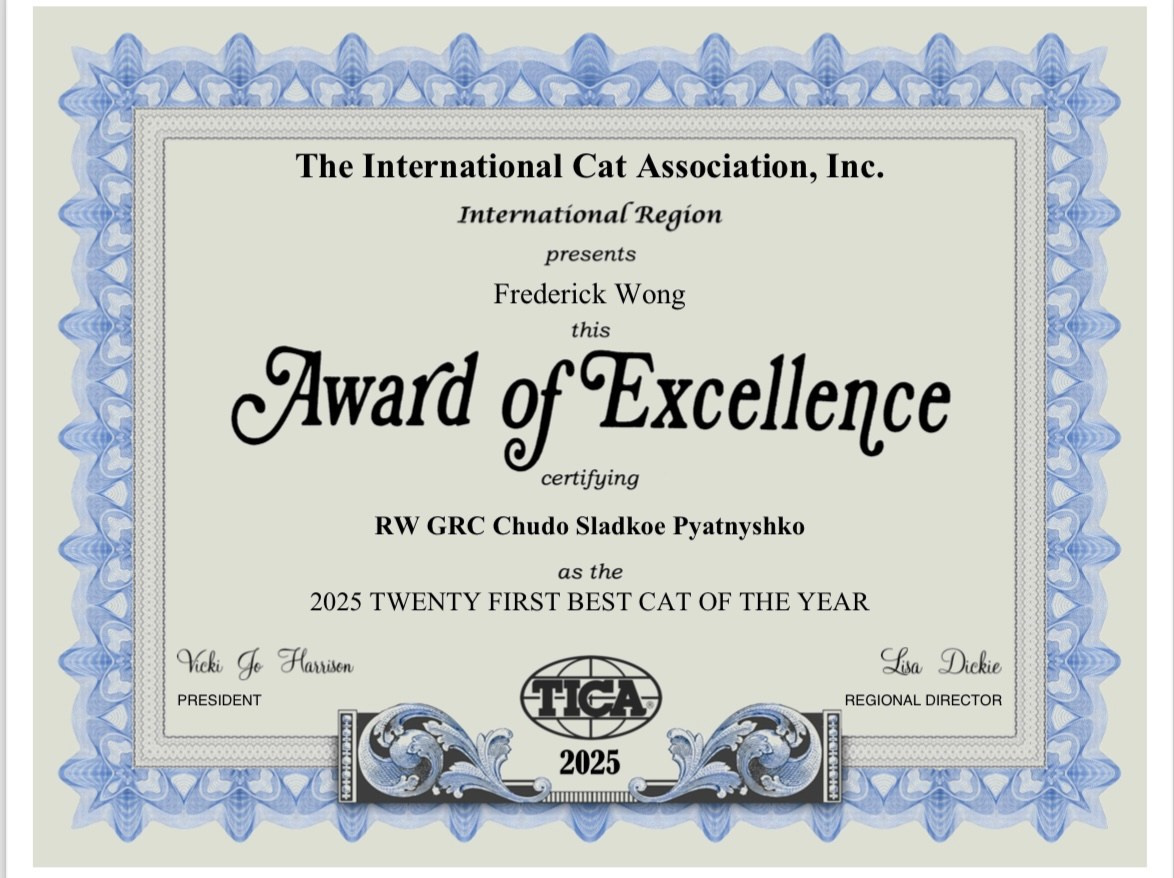 LEMON GREEN SIBERIANS CHUDO