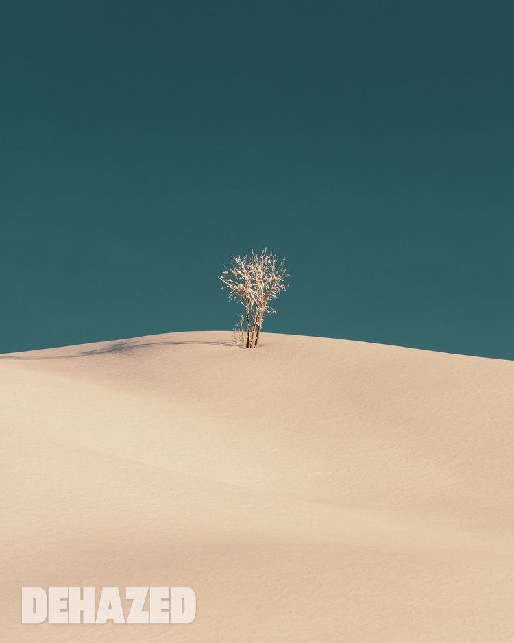 Publications. OLGA REPTIK