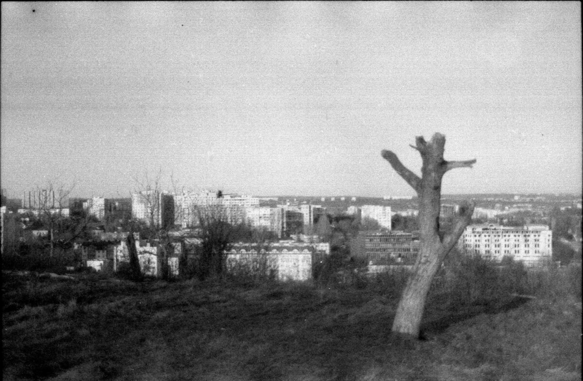 Garden of stones. Natalia Parfenova visual artist film photographer