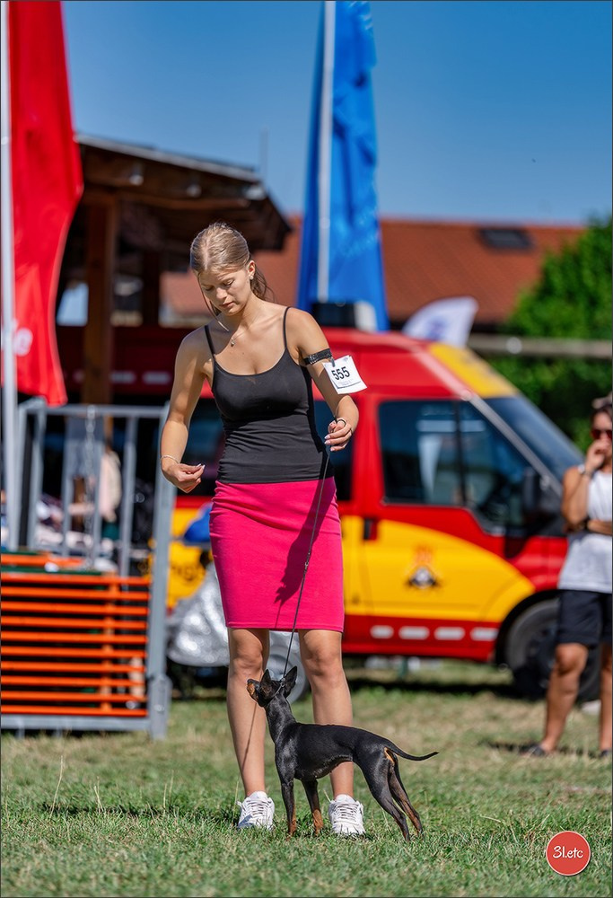 Dog Show - Hallbergmoos 🇩🇪 11-12/07/2026