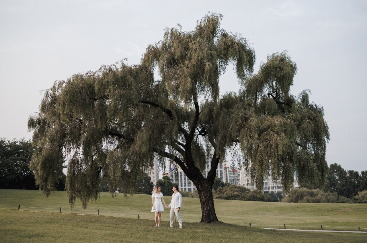 Reviews. Portrait photographer in South Korea Olga Lian