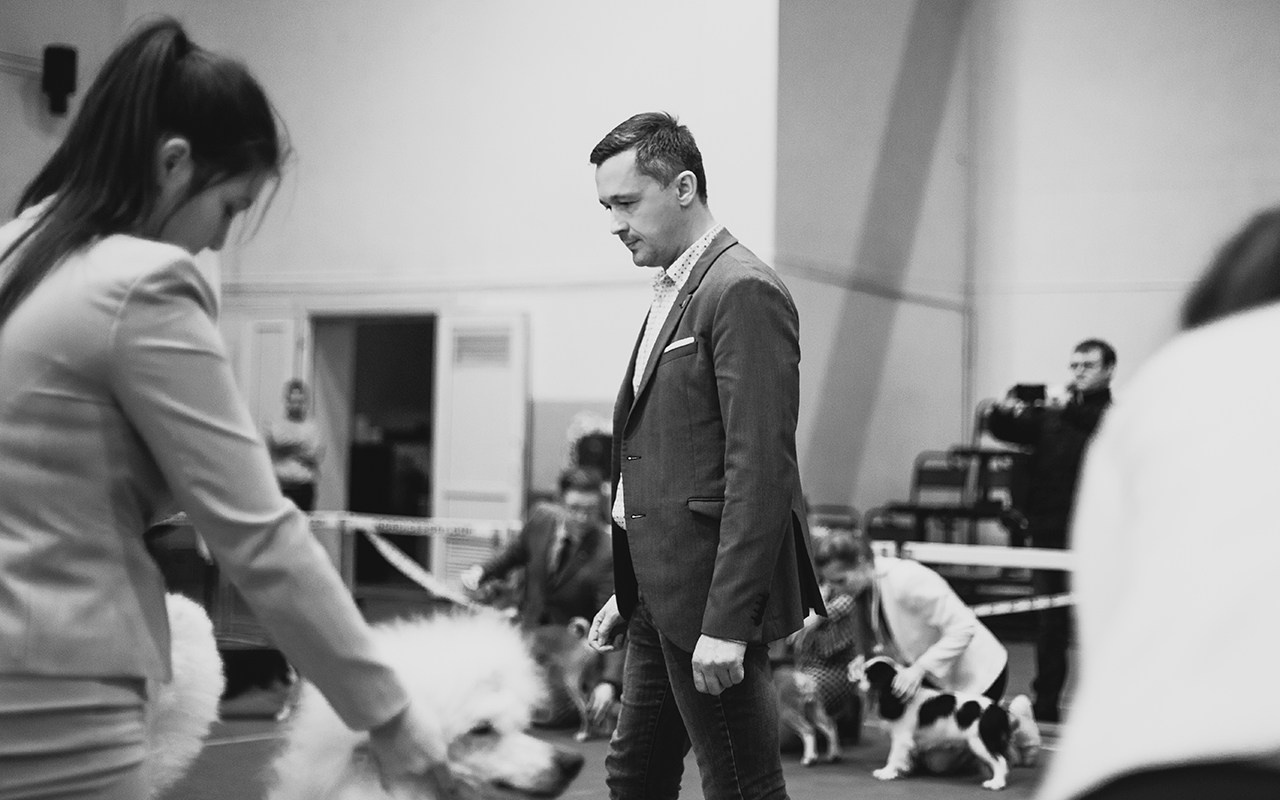 Grodno dog show. Kaja | fotograf we Wrocławiu | ludzie i psy