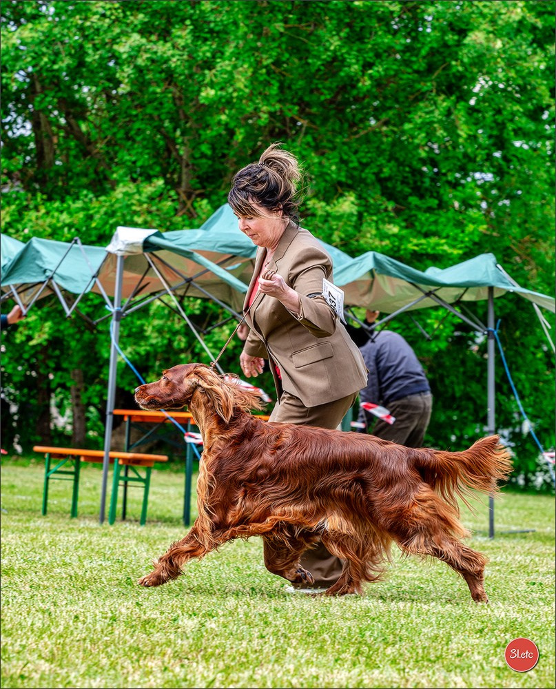 Photographie animalière. Photographe à Strasbourg | Portraits, Studio, Enfants, Événements