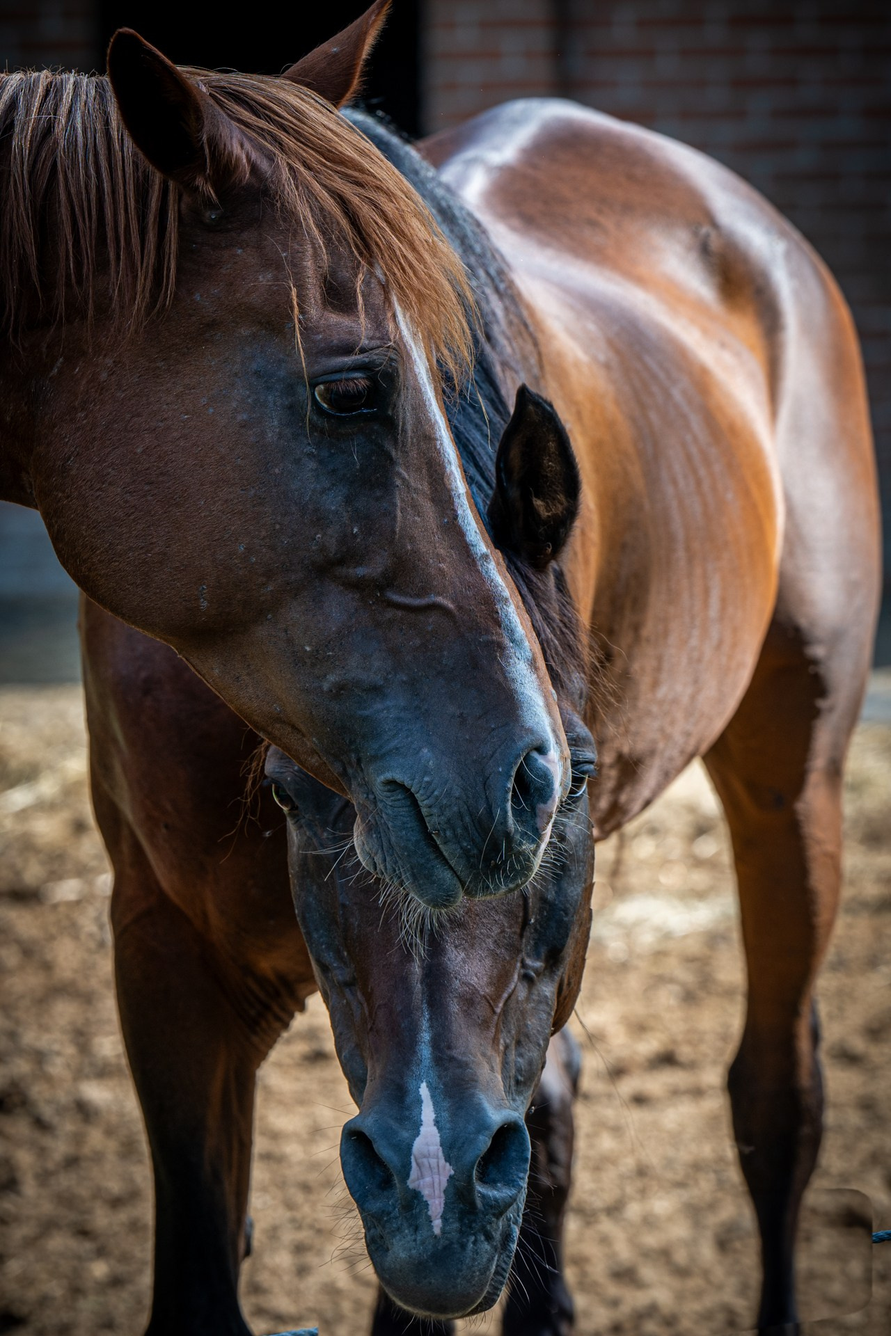 Bimbi di una volta. “Gianmaria Coscia fotografo per passione”
