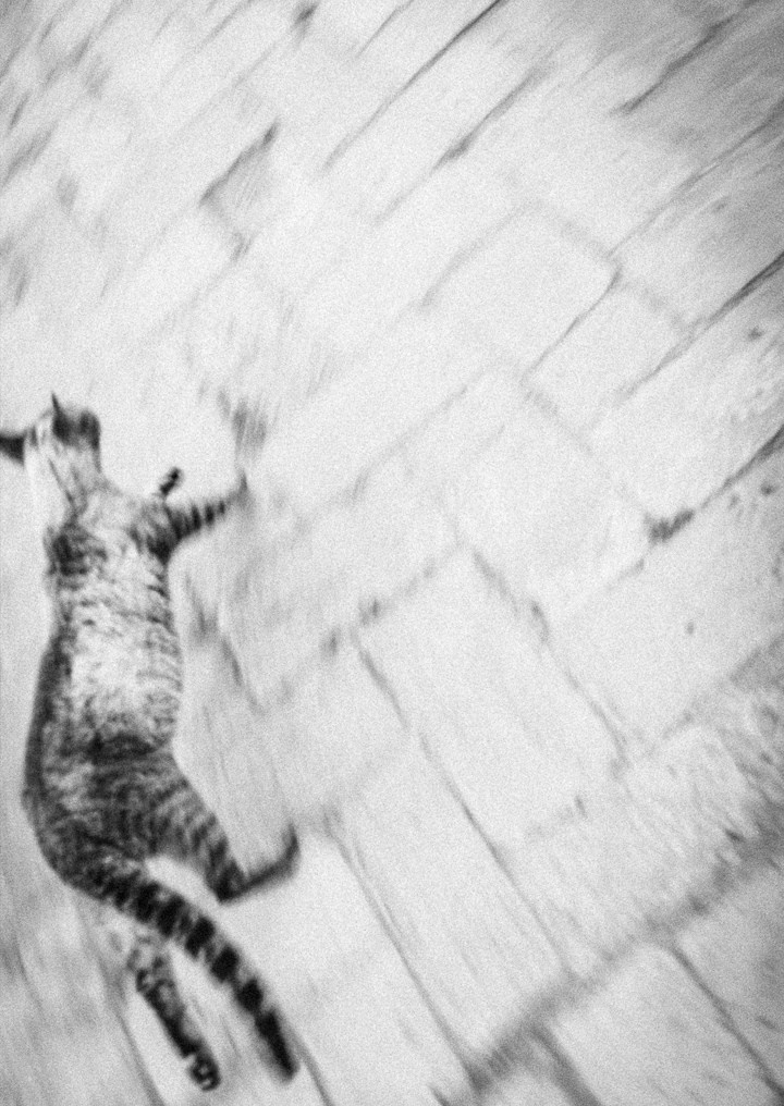 Seis meses de calle. FotoZine vol3