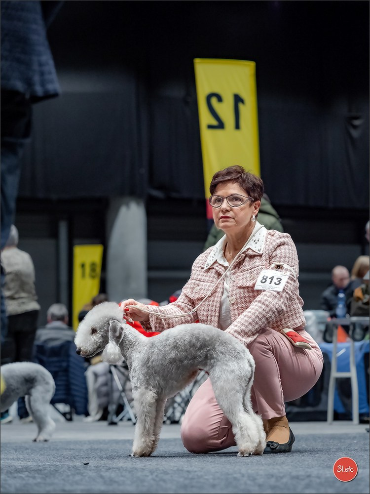 Dog Show Offenbourg  🇩🇪  14-15/03/2026. Photographe à Strasbourg | Portraits, Studio, Enfants, Événements