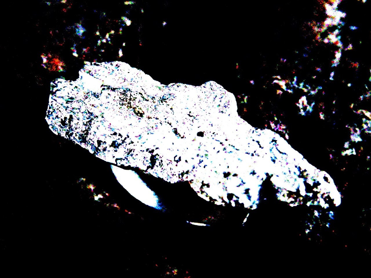 GA·DASHI | MULTIDISCIPLINARY ART
