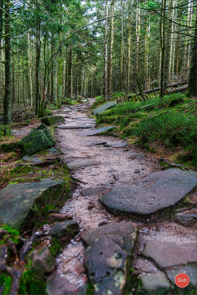 Randonnée en Forêt-Noire. Photographe à Strasbourg | Portraits, Studio, Enfants, Événements