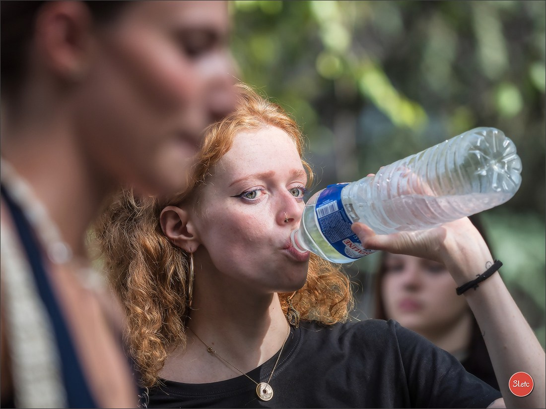 Teckels Parade Strasbourgeoise  Vous pouvez voir le galerie de photos. Photographe à Strasbourg | Portraits, Studio, Enfants, Événements