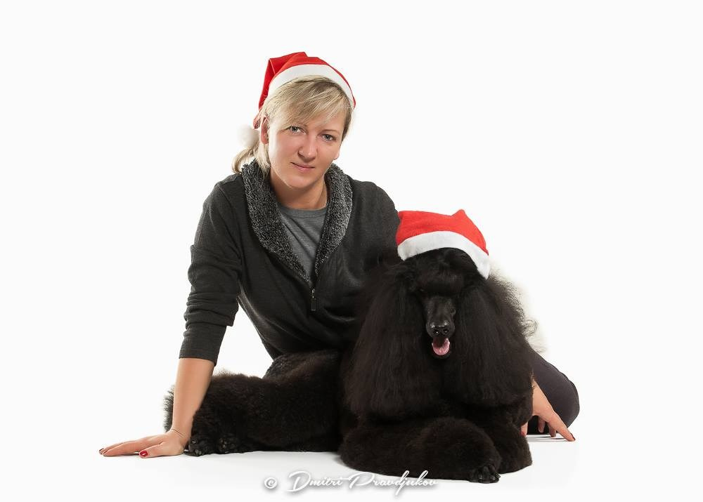 LEMMIKLOOMADE PILDISTAMINE