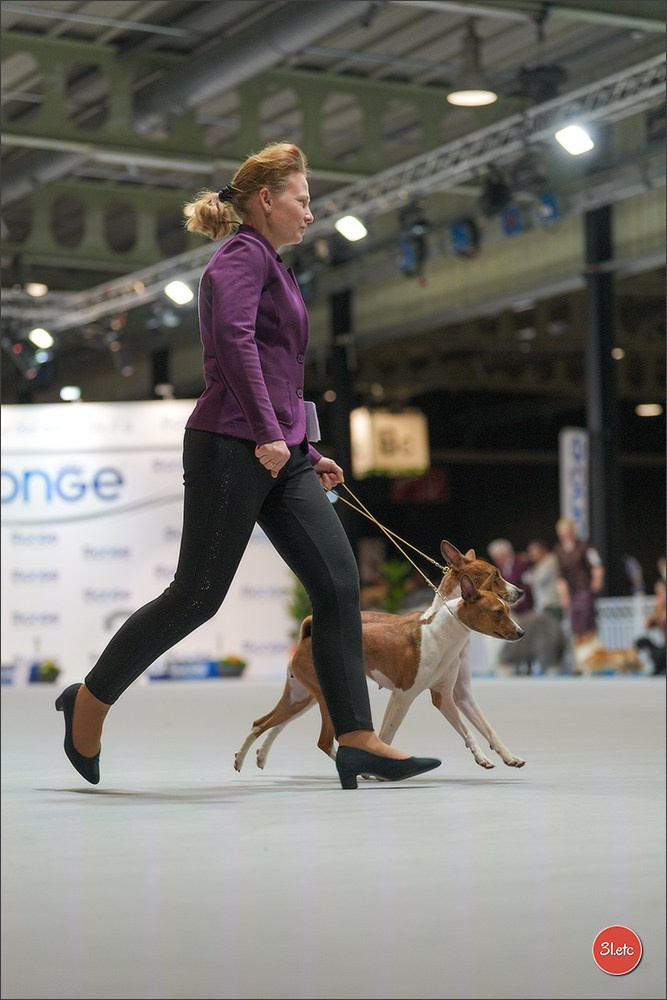 🇱🇺 LUXEMBOURG 🇱🇺 International Dog Show 4-5/04/2026. Photographe à Strasbourg | Portraits, Studio, Enfants, Événements