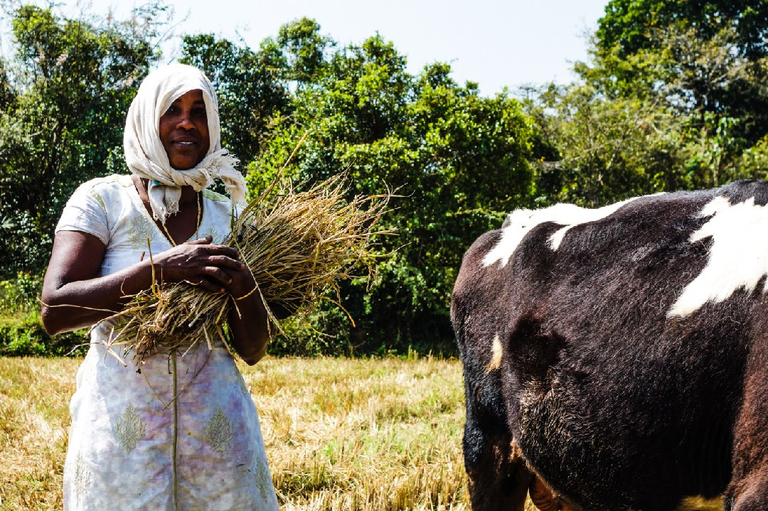 Its a passion to photograph the beauty of life itself. Murat Bostan Photography Documentary, Event and Portrait