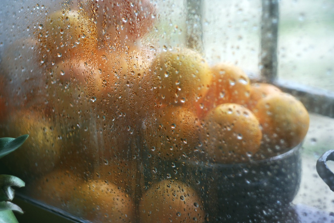 Producto. Fotógrafo Torrevieja, Costa Blanca, Alicante, Madrid, España, Leyla