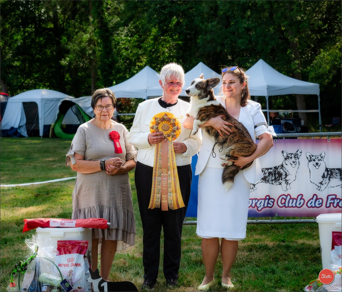 🇫🇷 Romorantin - Exposition Canine Nationale. Photographe à Strasbourg | Portraits, Studio, Enfants, Événements