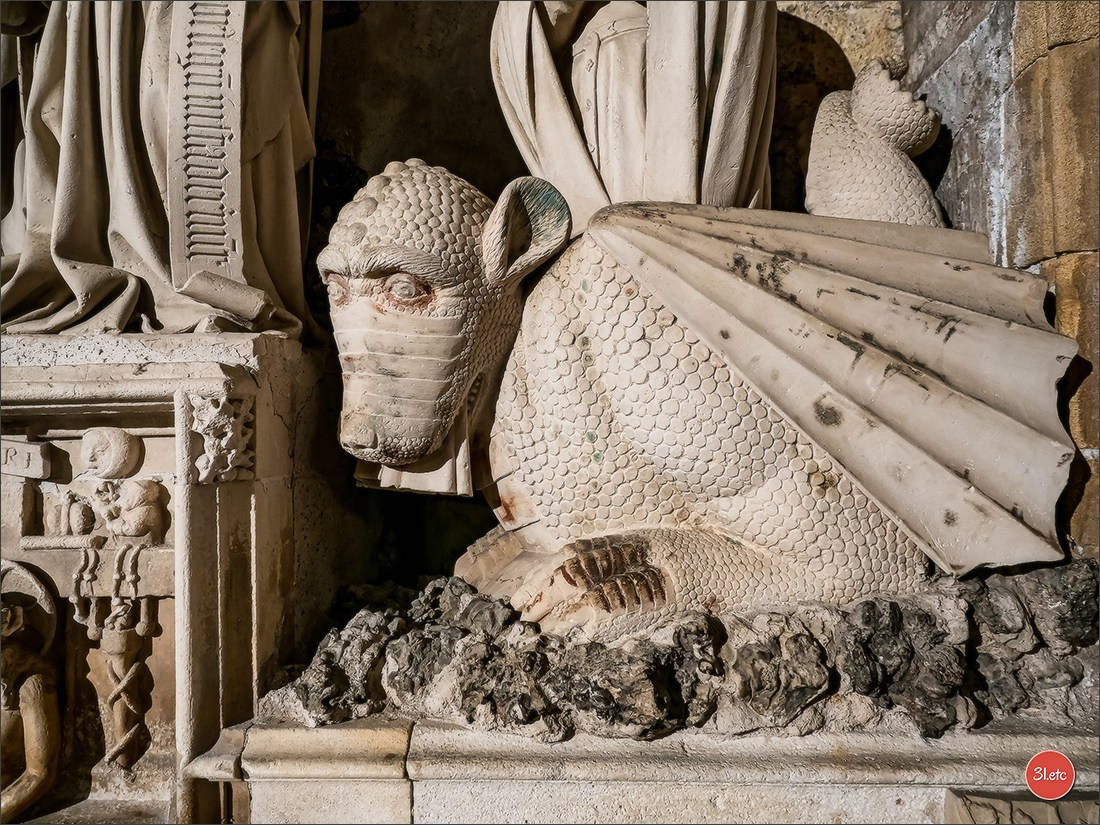 Marseille et Aix-en-Provence. Photographe à Strasbourg | Portraits, Studio, Enfants, Événements