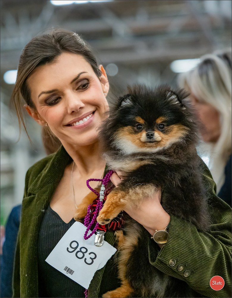 PDS  🇫🇷  Paris Dog Show  🇫🇷  Expo canine  10-11/01/2026. Photographe à Strasbourg | Portraits, Studio, Enfants, Événements